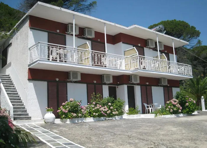 Bellina Studios