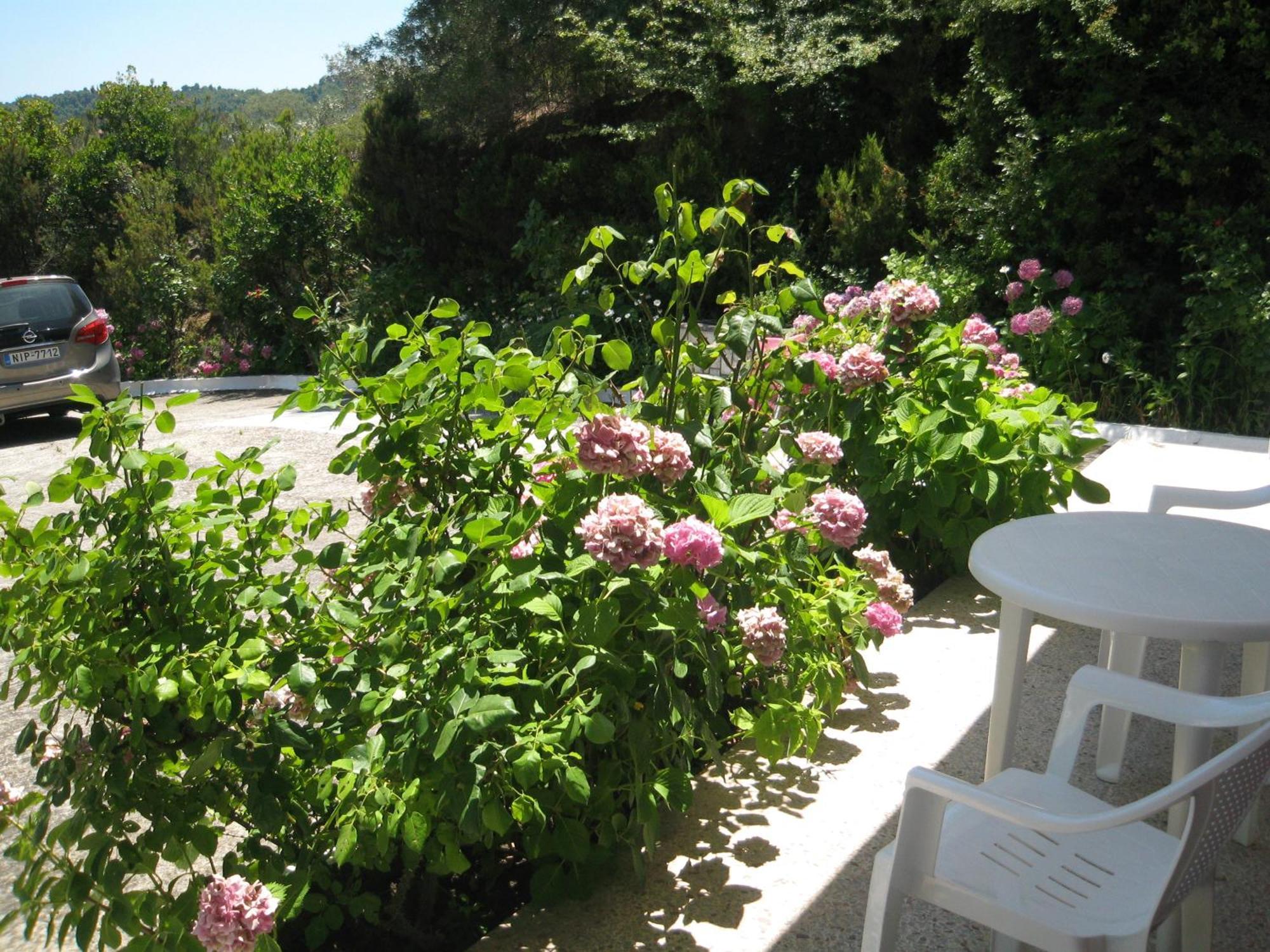 Bellina * Agia Paraskevi (Skiathos)