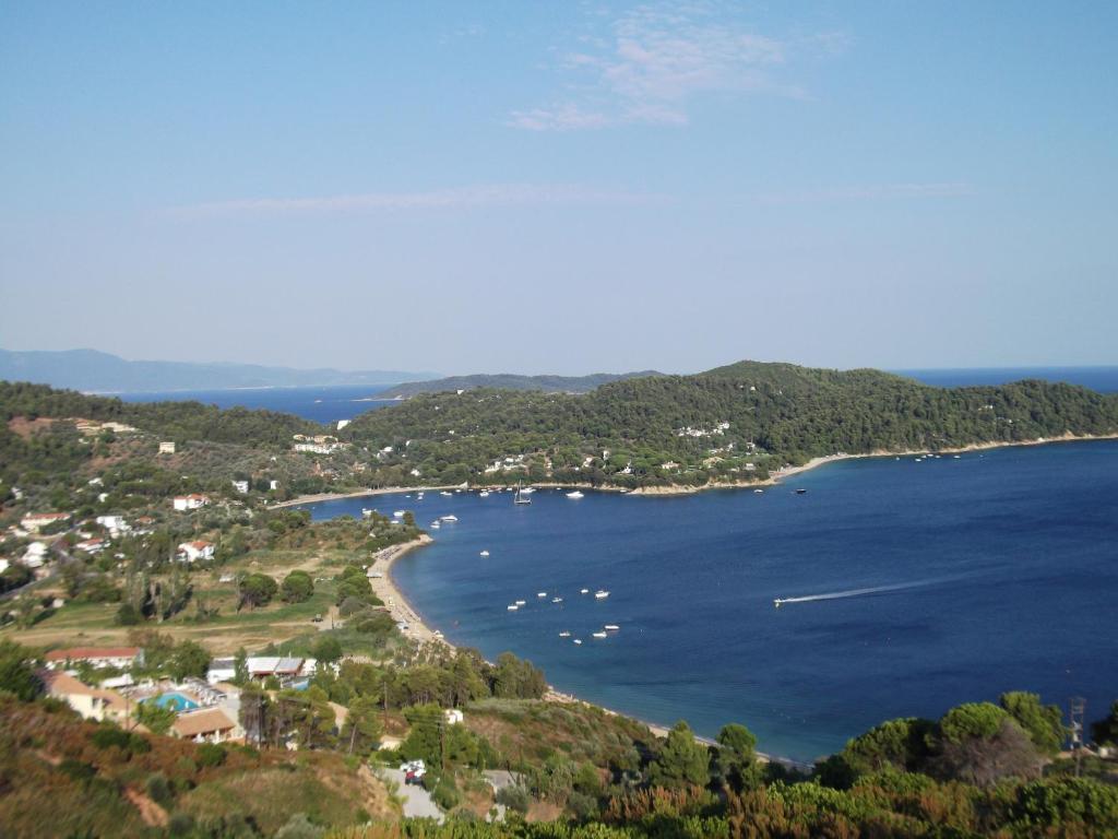 Bellina Apartamento